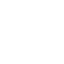 shape